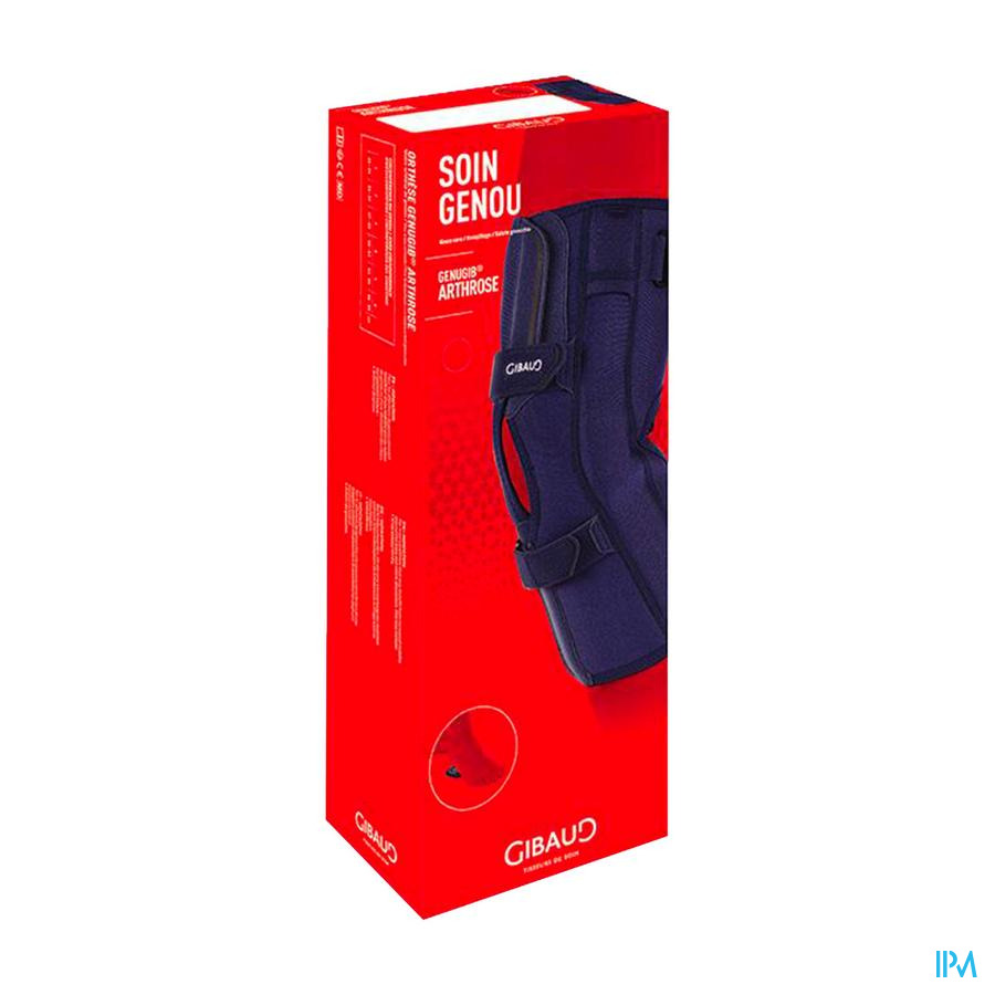 vignette Gibaud Genugib Arthrose Genouillere T4